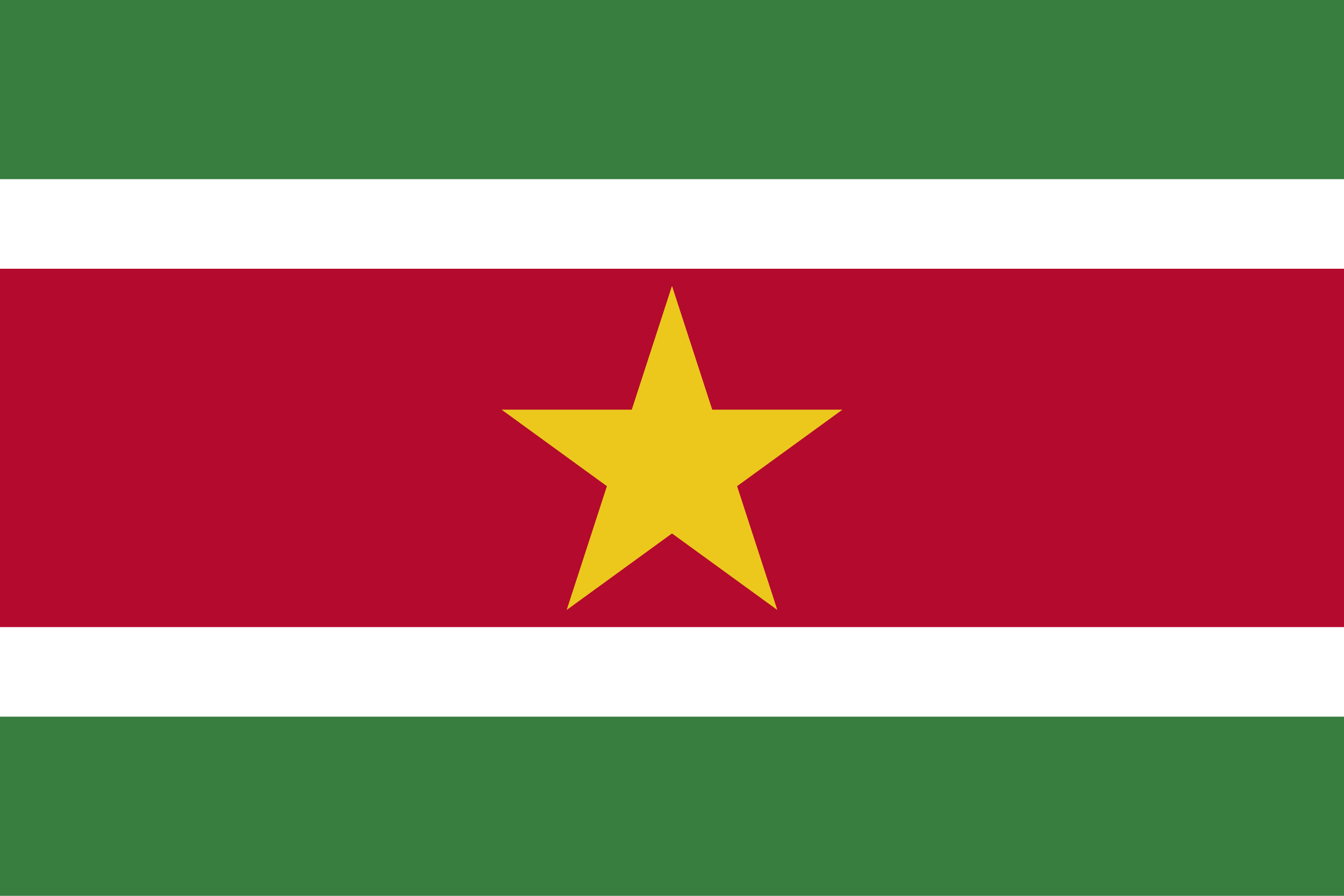 Flag_of_Suriname.svg (1)